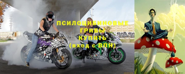 ГАЛЛЮЦИНОГЕННЫЕ ГРИБЫ Володарск