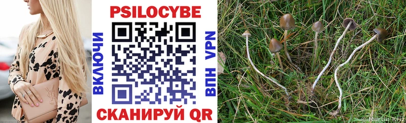 Купить где  Харабали  Галлюциногенные грибы Cubensis 